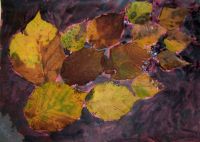 Colors of Autumn